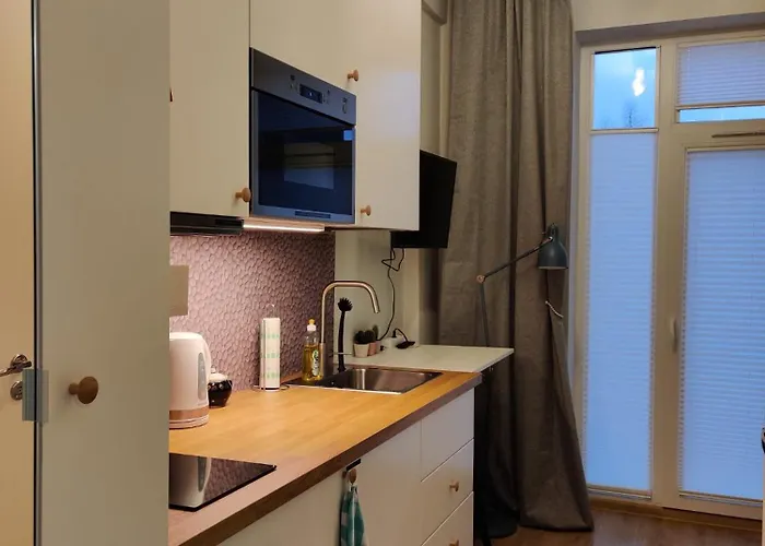 Mikrohub45 - Taeismoebleeritud Ja Koigi Mugavustega Soodne Stuudiokorter * Pärnu