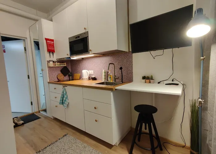 Appartement Mikrohub45 - Taeismoebleeritud Ja Koigi Mugavustega Soodne Stuudiokorter Pärnu