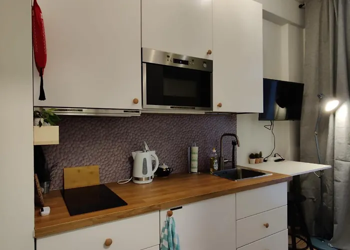 Mikrohub45 - Taeismoebleeritud Ja Koigi Mugavustega Soodne Stuudiokorter Appartement